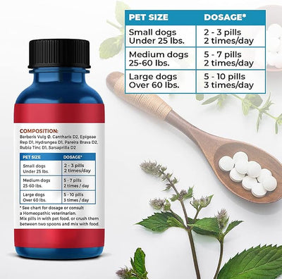 Dog UTI Treatment & Kidney Health Formula – Natural Dog Urinary Tract Supplements to Manage Urine Frequency & Leaks – Bladder Control Support for Urinary Incontinence & Renal Health – 2 Pack