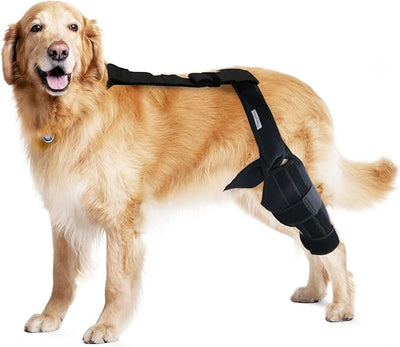 Dog Knee Brace for Torn ACL Hind Leg – Canine CCL & Cruciate Ligament Support – Joint Stability and Recovery Wrap for Leg Injuries – Durable Adjustable Design – Black, Large