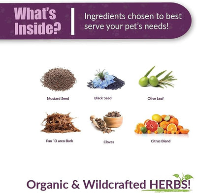Amber NaturalZ Vibactra Immune Support Herbal Supplement for Dogs, Cats, Birds, Guinea Pigs, and Rabbits | Pet Herbal Blend for Overall Health | 4 Fluid Ounce Glass Bottle | Manufactured in the USA