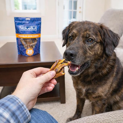 ValueBull Duck Feet for Dogs, 50 Count - All Natural Glucosamine Chondroitin Collagen Dog Chew, Hip and Joint, Single Ingredient