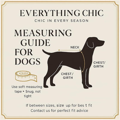 Everything Chic Luxury Dog Sweater – Soft Knit Designer Pet Outfit for Small Dogs & Puppies, XS–L, Stylish Warm Clothing for Yorkies, Chihuahuas, Dachshunds, Maltese, French Bulldog