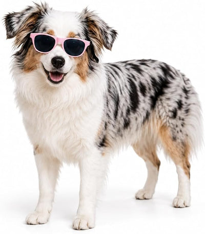 G006 Dog Pet Retro 80s Costume Sunglasses for Small Breed (M, 20-40 lbs Pink)