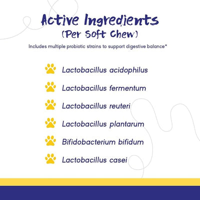 PupGrade Digestive Support for Dogs - Prebiotic + Probiotic Supplement with Enzyme Blend - Gut and Immune Support - Pumpkin, Blueberry, Mineral Oil, Duck Flavor - 60 Soft Chews