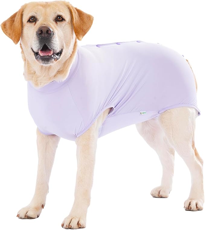 LovinPet Dog Recovery Suit, Snap-Back Post-Op Onesie for Large Dogs, Post-Spay Bodysuit for Female Dogs with Cushioned Belly Panel, Purple, XXL