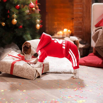 Dog Hoodie Security Clothes 4 Legs Jumpsuit Sweatshirt Hoodies Soft & Warm Dog Outfit Pullover Dog Winter Clothes Sweater for Small Medium Large Dogs Cats (Red, X-Small)
