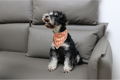 Fall Dog Bandanas Girl Boy American Football Cotton Washable Comfortable Triangle Dog Scarf Adjustable Pet Bib Kerchief for Small Medium Large Dogs S