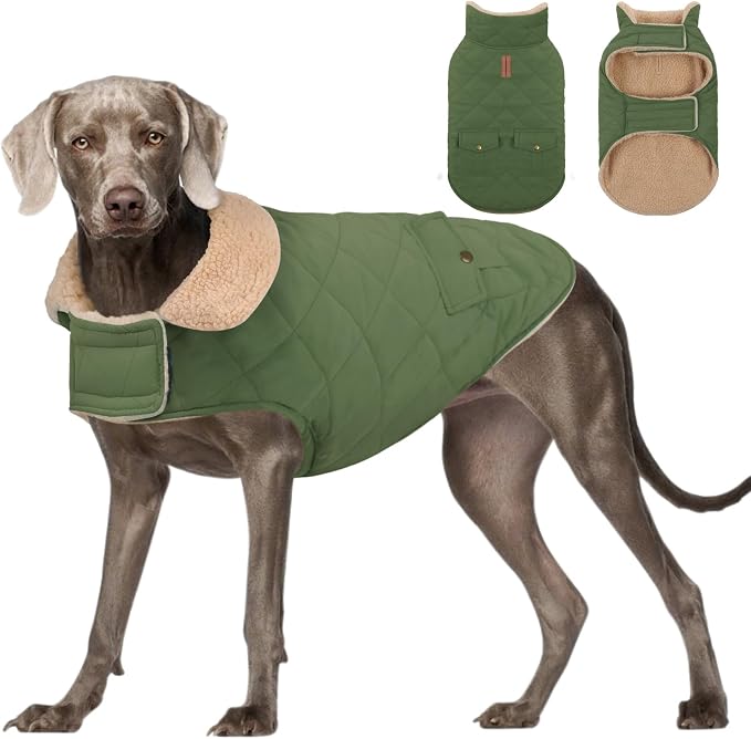 Dog Winter Jacket for Extra-Large Dogs, Pet Windproof Cold Weather Coats, Pets Clothes Snow Jacket, Golden Retriever, Labrador Retriever, Husky, Army Green XL