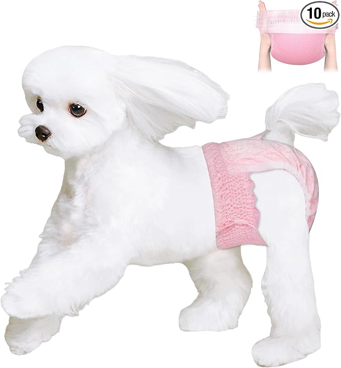 Ambreview Disposable Dog Diapers Female, Just Pull It Up, Doggie Diapers for Female Dogs, Strong Absorbency | Leak Proof, for Dogs in Heat | Elderly | Disabled, M 10 PCS
