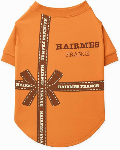 Luxury Designer Dog T Shirt – Cute Puppy Clothes for Small Dogs, Fashion Pet Tee Outfit for French Bulldogs & Chihuahuas, Everything Chic Dog Apparel