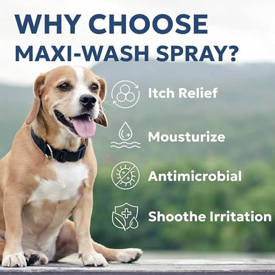 Forticept Maxi-Wash Hot Spot Cleansing Spray Treatment, Wound Care & Itch Relief Spray for Dogs and Cats. Relives Scratching, Rashes, Sores, Itchy Skin and Paw Licking 8 oz