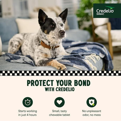 Credelio (lotilaner) Tick & Flea Treatment + Flea Infestation Protection for Dogs 25.1-50.0 lbs. (1 Tablet)