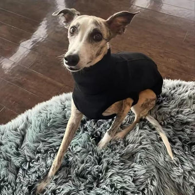 Sweatshirt for Vizsla/Weimaraner/Poodle/Dalmatian/German Dog, Reflective Sleeveless Warm Cotton Clothes for Big Dogs (Black, Large(Chest 25'',Back 21.5''))