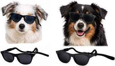 G006 Dog Pet Retro 80s Costume Sunglasses for Small Breed (2-Pack Black+ Matte Black)