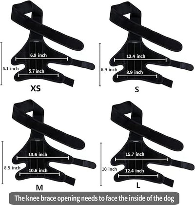 M Dog Leg Braces for Back Leg for Support with Cruciate Ligament Injury-Better Recovery with Dog Knee Brace for Torn Acl Hind Leg-Adjustable Hip Dysplasia Dog Acl Brace Hind Leg Rear