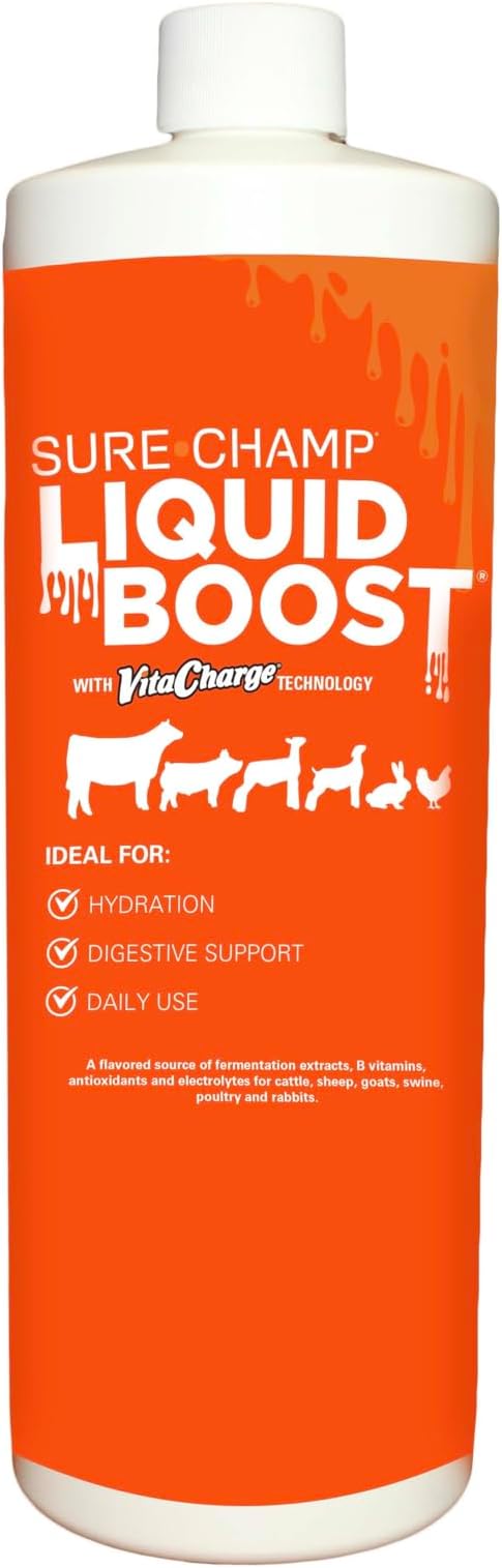 Vita Charge Liquid Boost, 32 Oz - Digestive Health Supplement for Beef Cattle, Sheep, Goats & Swine - Promotes Feed & Water Intake During Stress, Recovery & Weaning