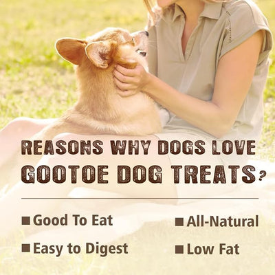 Gootoe Soft Dog Treats, Chicken Jerky - Dog Training Treats; High-Protein, Gluten-Free, Soft Jerky for Dogs, Hypoallergenic, Grain-Free, Sticks 1 lb (Pack of 3)