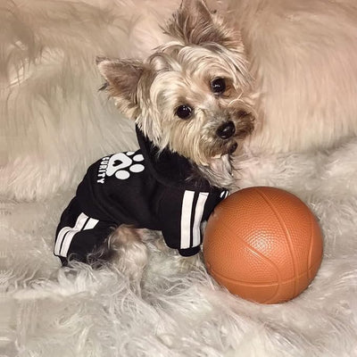 Dog Hoodie Security Clothes 4 Legs Jumpsuit Sweatshirt Hoodies Soft & Warm Dog Outfit Pullover Dog Winter Clothes Sweater for Small Medium Large Dogs Cats (Black, Medium)