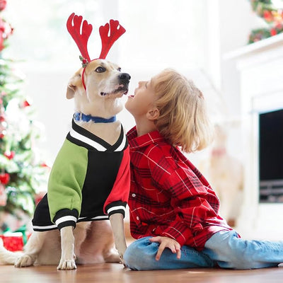 Cute Dog Sweater - Stretchy Dog Pullover Sweatshirt,Soft and Warm Winter Clothes for Boy & Girl Dogs,Suitable for Puppies & Adult Dogs (Black+Red+Green, Large/X-Large)