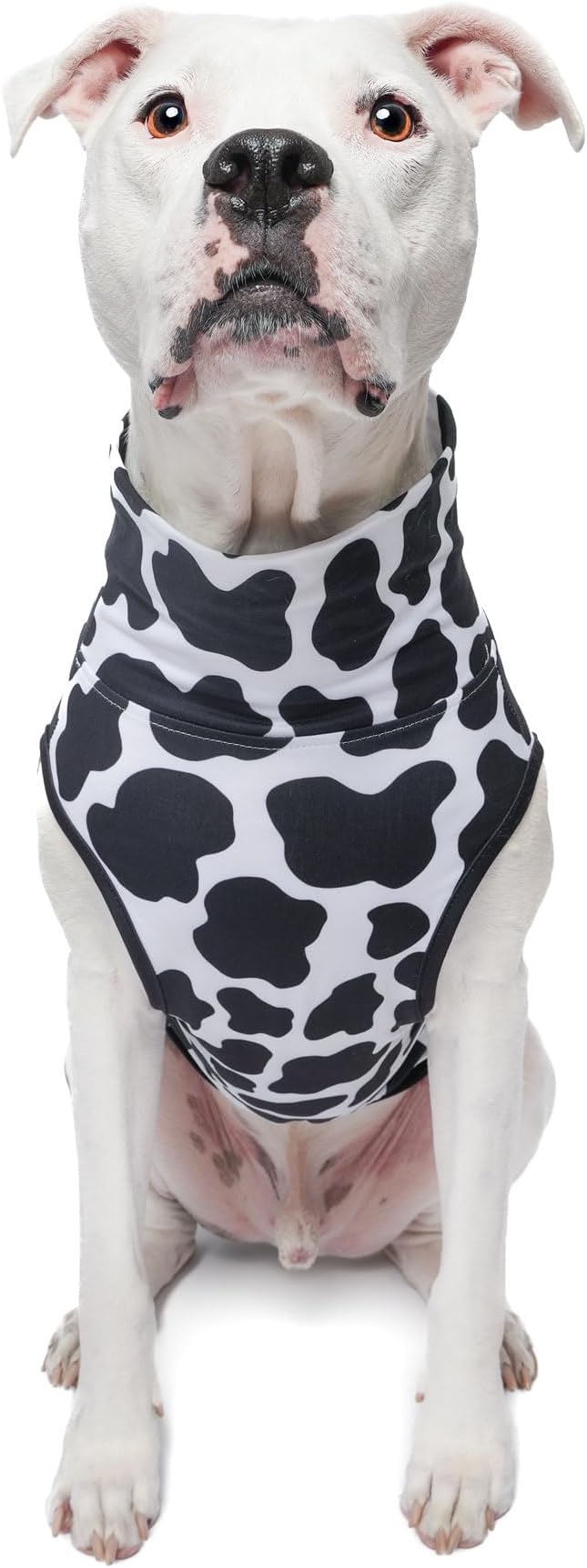Pittie Clothing Pit Bull Muscle Tee for Dog Breed Dog Shirts Pet Printed Clothes Cool Funny