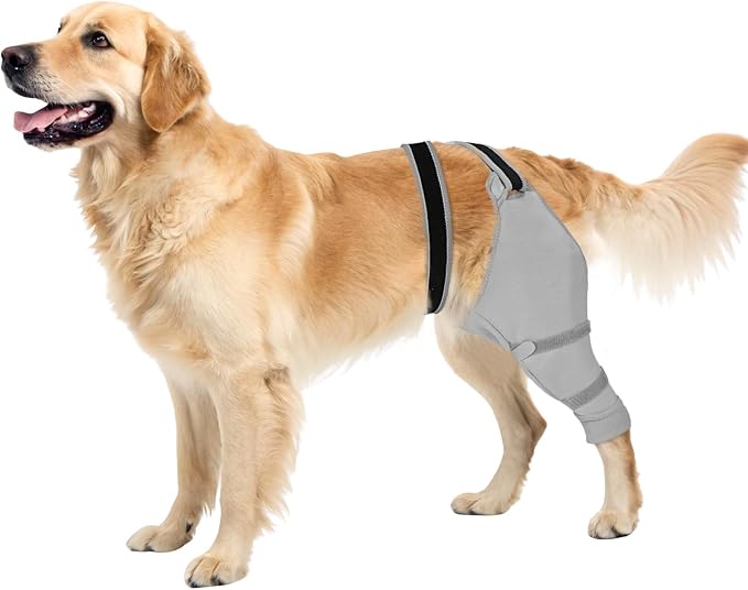 Dog Sleeve for Rear Legs to Stop Licking, Upgraded Recovery Sleeve for Hind Back Leg Wounds,TPLO, ACL Surgery, Light Comfortable Cone Alternative,Right,XL,Grey