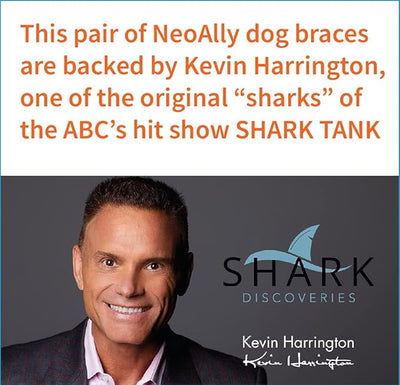 NeoAlly Dog Canine Braces for Rear Legs Super Supportive with Dual Metal Spring Inserts to Stabilize Dog Hind Legs, Help Dogs with Injuries, Sprains, Arthritis, ACL (XL Pair)