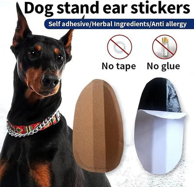 Dog Ear Stand Sticker Up Support Tool, Dog Ear Fixed Correction Vertical Holder for Doberman. (1.65 * 2.95)