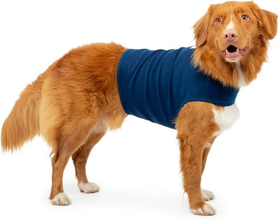 Dog Anxiety Calming Wrap, Medium