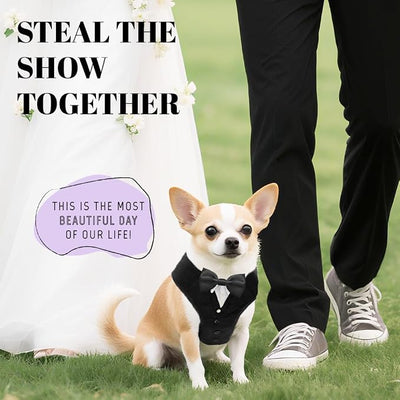 AVERYDAY XS Pet Tuxedo Harness, Wedding Costume Outfit for Small Dogs, Slim Cats and Tiny Pets with 9.1" Neck, 14.2-18.9" Chest, 9" Max Head Girth, Formal Suit Costume for Mini Breeds