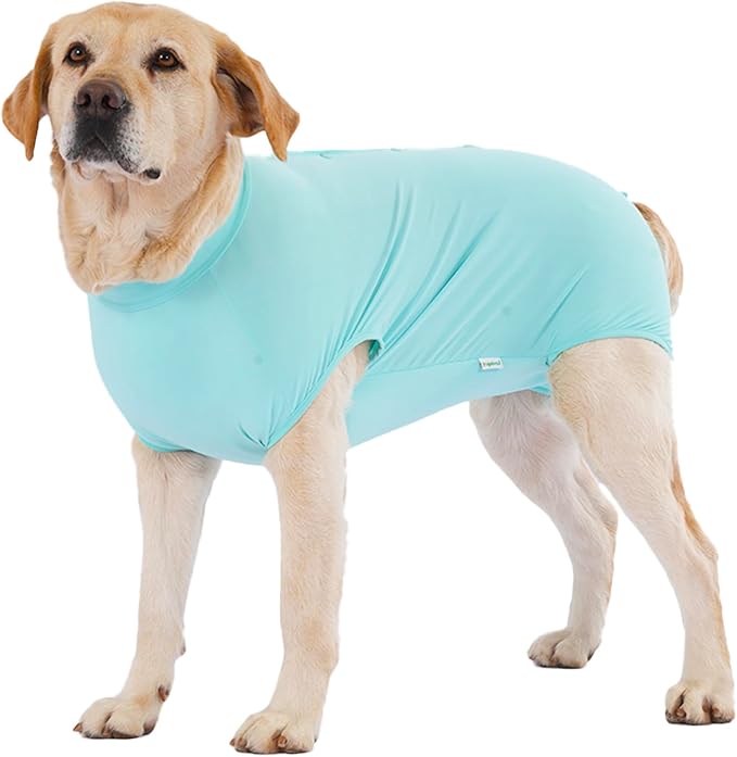 LovinPet Dog Recovery Suit, Easy Snap-Back Cover for Large Dogs, Bodysuit for Female Dogs, Solid-Color Surgery Suit with Cushioned Belly Panel, Green, XXL