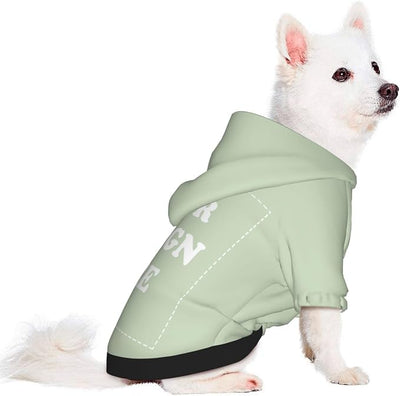 Personalized Chihuahua Dog Hoodie, Custom Pet Warm Sweatshirt Costume with Name Number Photo, Customize ID Clothes for Pupppy Kitten Dogs Cats, LightGreen, S
