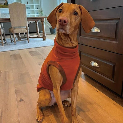 Sweatshirt for Vizsla/Weimaraner/Poodle/Dalmatian/German Dog, Reflective Sleeveless Warm Cotton Clothes for Big Dogs (Orange, X-Large(Chest 26.5'', Back 23''))