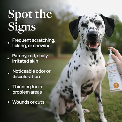 Veterinary Formula Clinical Care Antiseptic and Antifungal Spray for Dogs and Cats - Helps Alleviate Scaly, Greasy, or Red Skin and Supports Skin Prone to Odor Causing Buildup - Pack of 2, 8 oz Each