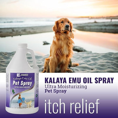 Kenic Emu Oil Itchy Skin Relief for Dry, Irritated Coats & Hot Spots - Leave-in Conditioning Formula Soothes and Moisturizes for Comfort and Shine, Made in USA