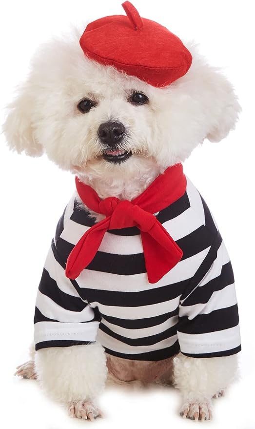 Artist Dog Costume with Funny Hat Painter Pet Clothes for Small Dog Shirts Puppy Summer T-Shirt (S) Black…