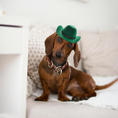Pet Dog Costume Cowboy Hat Cosplay Cap Puppy Pet Dog Cat Holiday Pet Party Decoration (Green)