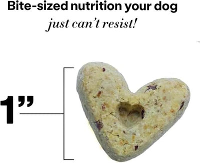 Wild Earth Superfood Dog Treats, Plant Based Dog Treats with Omega Acids, Prebiotics & Koji Protein, No Fillers, Veterinarian-Developed, Peanut Butter Flavor