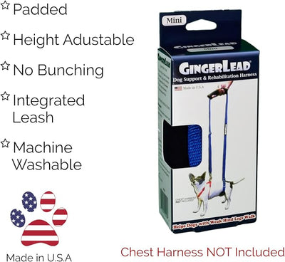 GINGERLEAD Dog Support Sling Harness, X-Small Fits Pets Under 25 lbs or Male Dachshunds with IVDD, Spinal Disc Disease, or Back Injuries. Assist Old or Arthritic Pets. Chest Harness not Included.