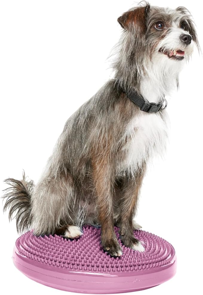 FitPAWS® Dog Balance Disc – 14”, Razzleberry | Dog Exercise Equipment | Workout Tool for Strength, Core, Stability & Rehabilitation