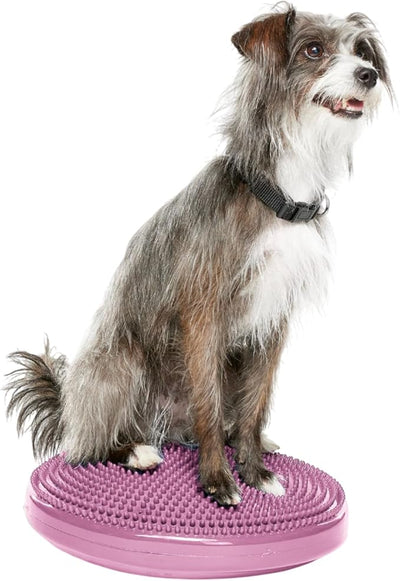 FitPAWS® Dog Balance Disc – 14”, Razzleberry | Dog Exercise Equipment | Workout Tool for Strength, Core, Stability & Rehabilitation