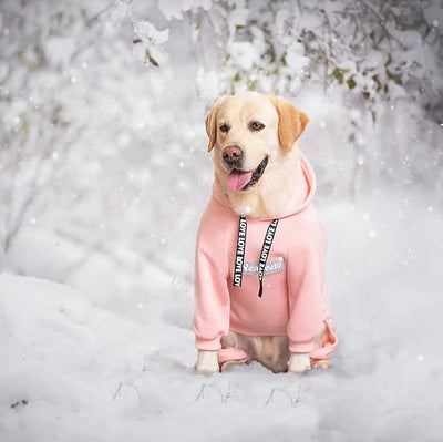 Dog Hoodies Winter Coat for Large Medium Dogs, Pullover 9 Legs Warm Coat Hooded Sweatshirt, Fleece Hoodie for Cold Weather (Pink, 2X-Large)