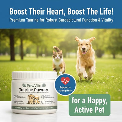 PawVita Taurine Powder for Dogs & Cats - Heart, Vision & Growth Support, 99.99% Pure Taurine Supplement, No Fillers, Increase Energy, Promote Metabolism