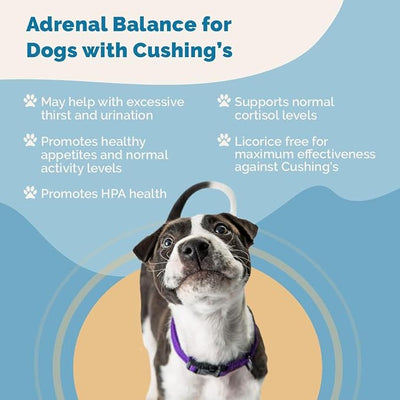PranaPets Adrenal Balance for Dogs with Cushing’s | Naturally Relieves Symptoms of Adrenal Imbalance in Dogs | Herbal Formula for Balanced Adrenal Function