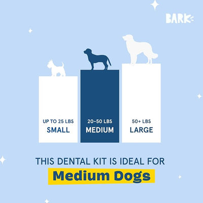 Barkbox Bright Original Dog Dental Kit, 30 Teeth Cleaning Chew Sticks & Toothpaste - Medium Breeds