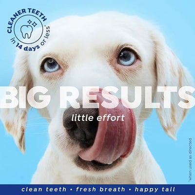 Naturel Promise Fresh Dental Dental Health Solution + Hip & Joint for Dogs - 2-Pack, 18oz Each - Teeth Cleaning Solution, Better Value for Daily Use