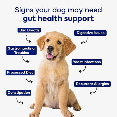 GastroQuel Dog Probiotic Chews – Gut Health, Occasional Diarrhea & Digestive Support | Probiotics for Dogs, Kaolin & Pectin | Yeast Infection Support & Anti Diarrhea for Dogs