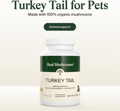 Real Mushrooms Turkey Tail Capsules for Pets –Cat Probiotics & Dog Vitamins – Organic Mushroom Supplement for Dogs & Cats – Supports Daily Balance & Well-Being Non-GMO, 90 ct