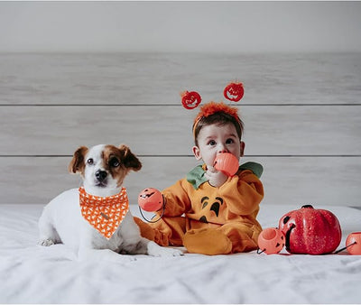 Lionheart Glory Halloween Bandana 1 Pack - Washable Soft Scarf, Square Adjustable for Girl or Boy Dogs, Medium to Large