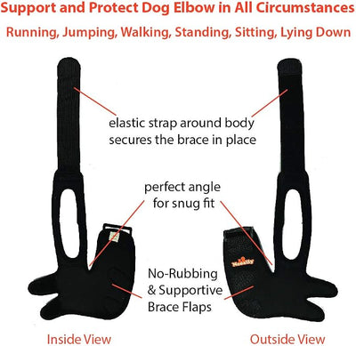 NeoAlly Dog Elbow Brace Protector Pads for Canine Elbow and Shoulder Support Elbow Hygroma, Dysplasia, Osteoarthritis, Elbow Calluses, Pressure Sores and Shoulder Dislocation (Right Leg, Large)
