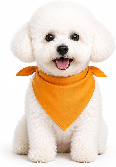 Petitebella Single Color Pet Bandana (Orange, Large)