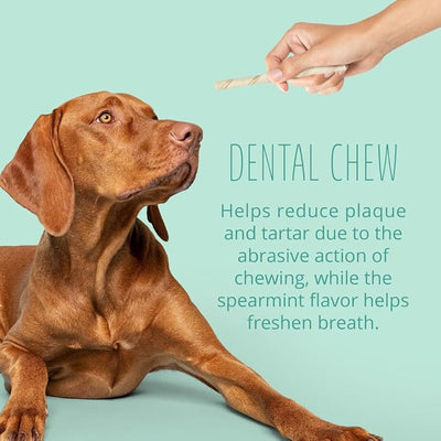 Better Belly Twists Fresh Breath, Digestible for Dogs (1 CASE of 24 Individual Packs of 4.4 OZ, Count of 25), P-94507-1